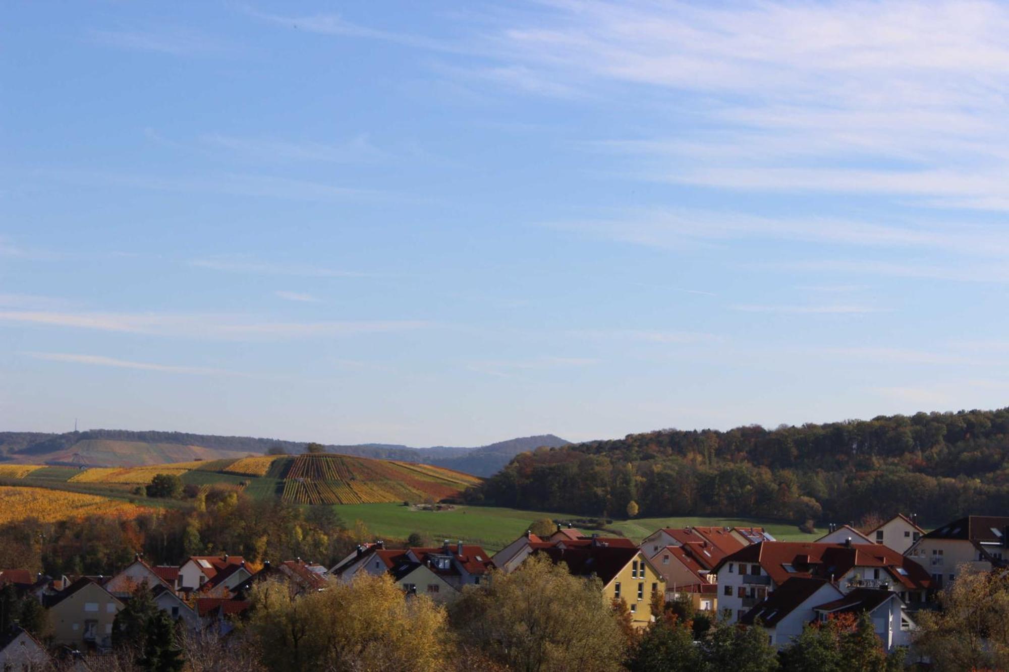 Gaestehaus Zum Wolffenturm Lehrensteinsfeld Стая снимка