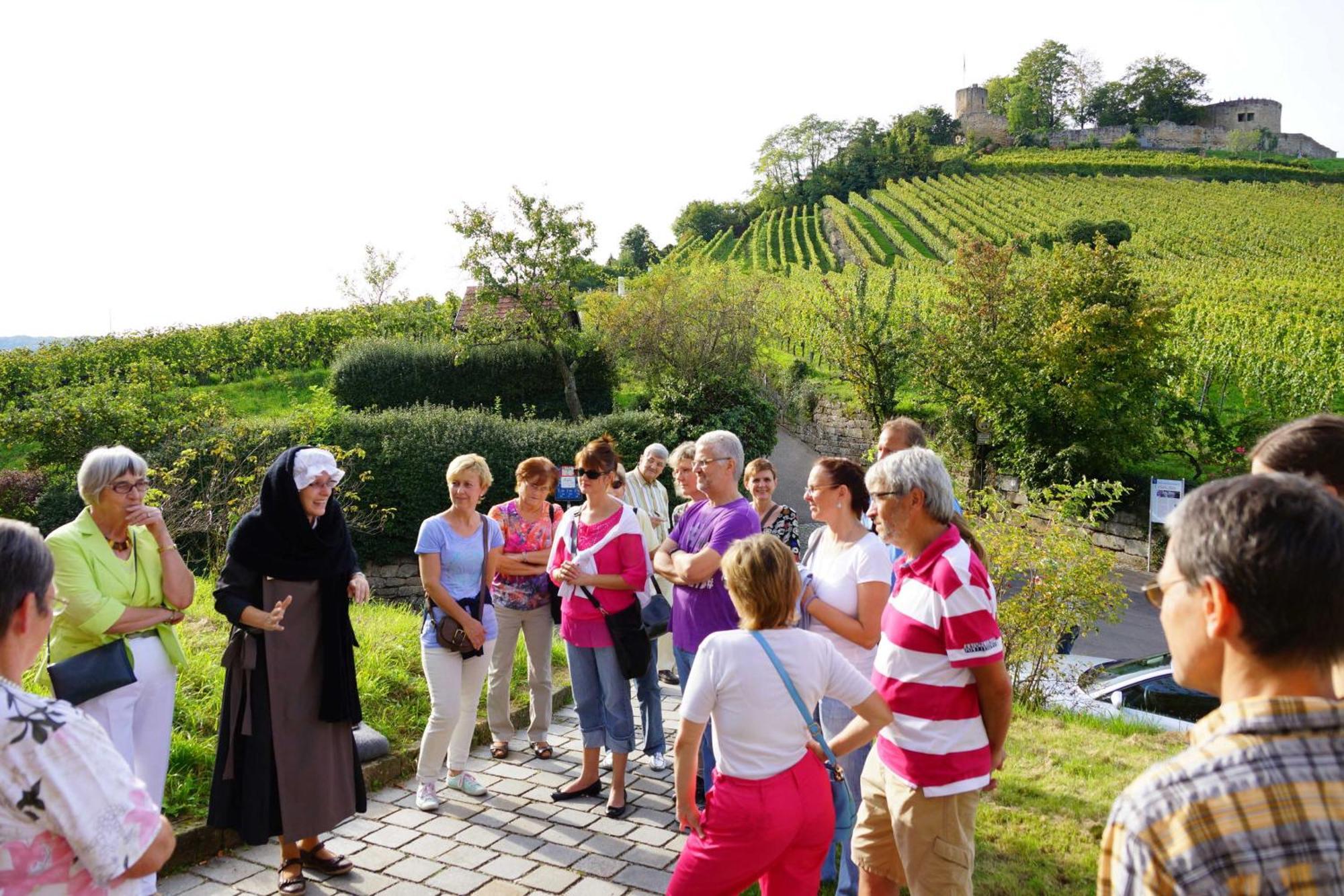 Gaestehaus Zum Wolffenturm Lehrensteinsfeld Екстериор снимка