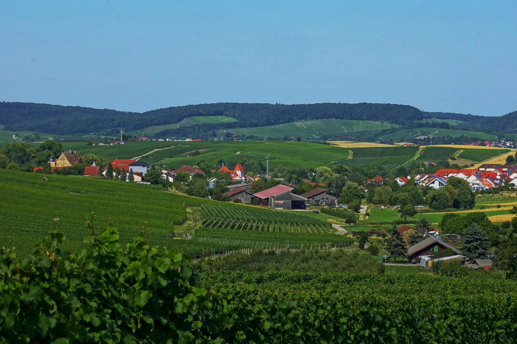 Gaestehaus Zum Wolffenturm Lehrensteinsfeld Екстериор снимка