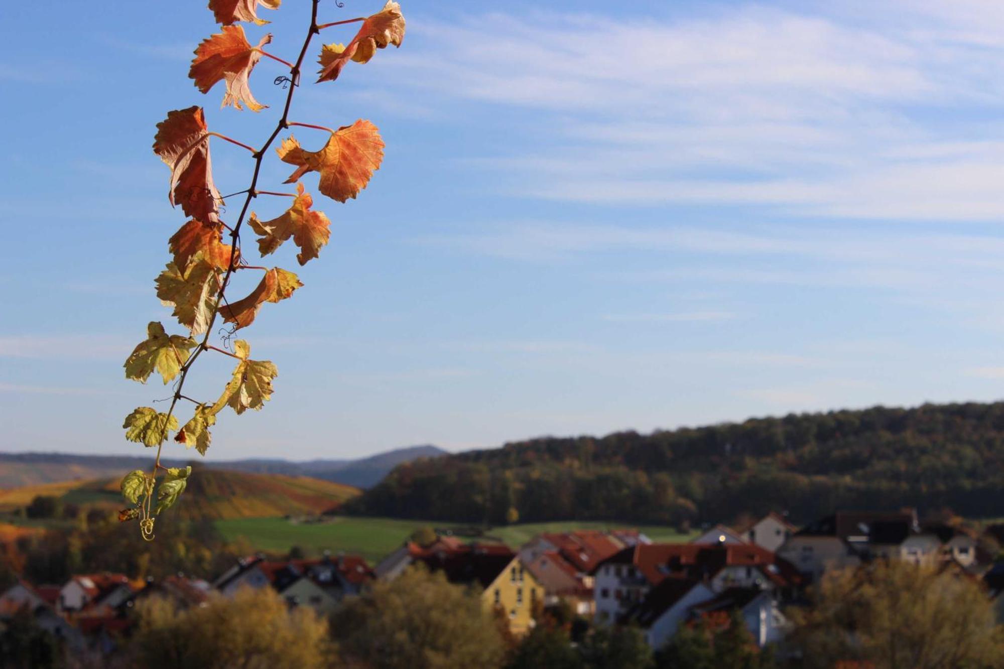 Gaestehaus Zum Wolffenturm Lehrensteinsfeld Екстериор снимка